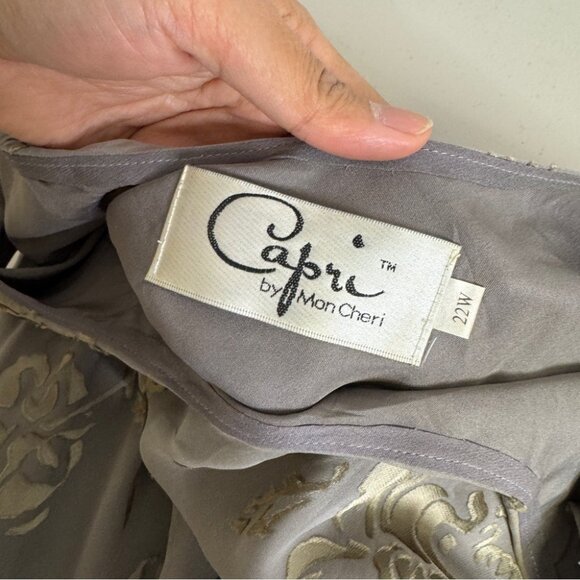 Vintage Capri by Mon Cheri Silk Velvet Burnout Y2K Evening Dress Size 22W - Picture 10 of 15
